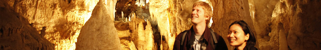 waitomo-cave-header