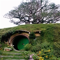 Hobbiton Tour